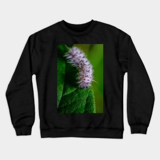 Black and White Caterpillar Macro Photo. Hickory Tussock Moth Caterpillar. Crewneck Sweatshirt